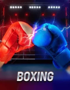 ph23 website image 27 showing boxing